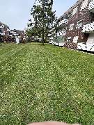 FL Immobilienservice - GALLERY