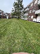 FL Immobilienservice - GALLERY