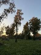 Flaeming Camping - Dein Campingplatz im Flaeming direkt an der Flaeming-Skate - GALLERY