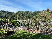 Flair Hotel am Rosenhügel - GALLERY