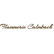 Flammerie Calmbach - LOGO
