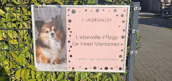 Flauschige Pfötchen - GALLERY