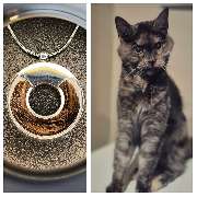 FlechtArt.Ruhr - Schmuck aus Pferdehaar - GALLERY