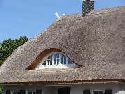 Fledermausgauben - Tischlerei Steffen Paul | Gauben - Hechtgaube - Schmetterlingsgaube - GALLERY