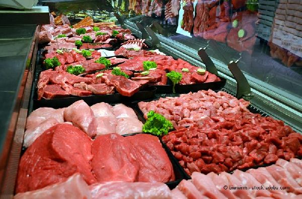 Fleischerei & Partyservice Haustein GmbH & Co. KG  …