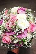 Fleur Holland Blumen - GALLERY