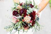 Fleur Holland Blumen - GALLERY