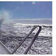 FLEUTH-SAILING Segelschule und Agentur für internationale Yachtcharter e.K. - GALLERY