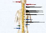 Float und Chiro Praxis Meersburg - GALLERY