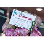 Flora-Apotheke - Logo der Flora-Apotheke