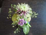 Flora et labora Assia Frankl - 3