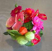 Flora et labora Assia Frankl - 6