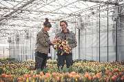 Floralita - GALLERY