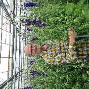 Floralita - GALLERY