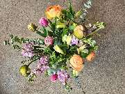 Floralita - GALLERY