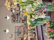 Floralita - GALLERY