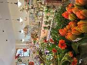 Floralita - GALLERY