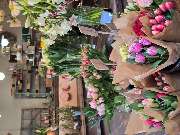 Floralita - GALLERY