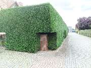 Florian Neumann Einzelunternehmen - IMG_20251009_133040.jpg