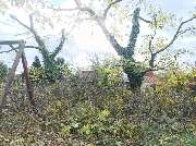 Florian Neumann Einzelunternehmen - IMG_20251025_132856.jpg