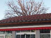 Florian Neumann Einzelunternehmen - IMG_20251122_152749(1).jpg