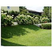 Florian Vierthaler Garten- und Landschaftsbau - GALLERY