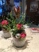 Florist | Blumen Zettl | München - Eventfloristik - Florist | Blumen Zettl | München