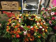 Florist | Blumen Zettl | München - Rundgesteckter Kreis - Florist | Blumen Zettl | München