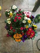 Florist | Blumen Zettl | München - Strauß - Florist | Blumen Zettl | München