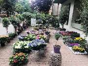Flower & Art - GALLERY