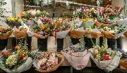 Flower & Art - GALLERY