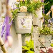 flower dreams - GALLERY