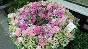 Flower & More - 4