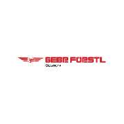 Förstl Gebrüder Kieswerk - LOGO