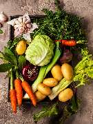 Foodservice Brüning Sylt - Foodservice Brüning ist ihr zertifizierter Großhandel für Obst, Gemüse, exotische Früchte und Feinkost auf Sylt. Frische, Qualität und zuverlässiger Kundenservice sorgen für eine hohe Zufriedenheit unserer Kunden.

 „Gehe immer 