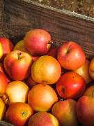 Foodservice Brüning Sylt - Foodservice Brüning ist ihr zertifizierter Großhandel für Obst, Gemüse, exotische Früchte und Feinkost auf Sylt. Frische, Qualität und zuverlässiger Kundenservice sorgen für eine hohe Zufriedenheit unserer Kunden.

 „Gehe immer 