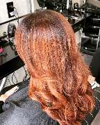 Forbice D’Oro - GALLERY
