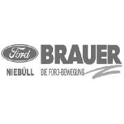 Ford Brauer - LOGO