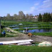 Forellenzucht Schmutz - GALLERY