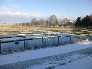 Forellenzucht Schmutz - GALLERY