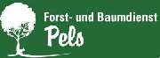 Forst- und Baumdienst Pels - 1
