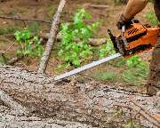 Forst- und Gartenpflege Dyck - 4