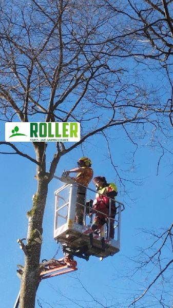 Forst- und Gartenservice Roller - GALLERY