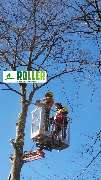 Forst- und Gartenservice Roller - GALLERY