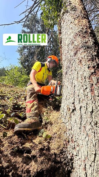 Forst- und Gartenservice Roller - GALLERY