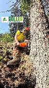 Forst- und Gartenservice Roller - GALLERY
