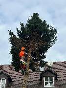 Forst- und Gartenservice Roller - GALLERY