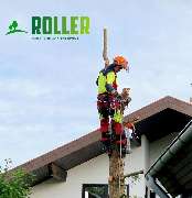 Forst- und Gartenservice Roller - GALLERY