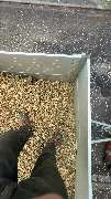 Forst- und Gartenservice Roller - GALLERY