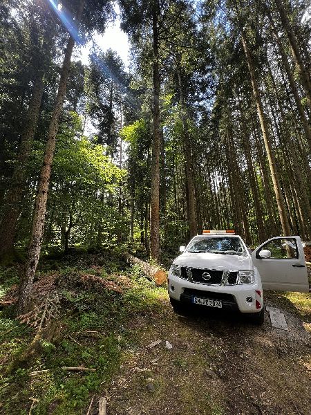 Forst- und Gartenservice Roller - GALLERY